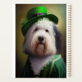Old English Sheepdog en tenue de la Saint-Patrick (Dos)