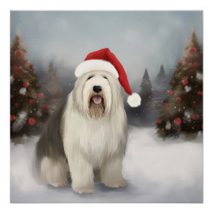 Old English Sheepdog in Sneeuw Kerstmis Perfect Poster