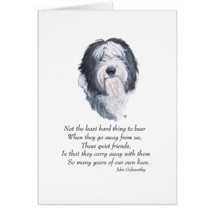 Old English Sheepdog Rainbow Bridge