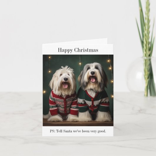 Old English Sheepdogs Kerstkaart Kaart (Voorkant)