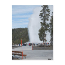 Old Faithful-geiser in Yellowstone Park