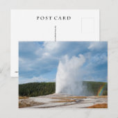 Old Faithful Geyser Briefkaart (Voorkant / Achterkant)