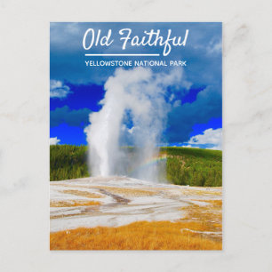 Old Faithful Geyser   Nationaal Park Yellowstone Briefkaart