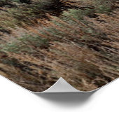 Old Farmhouse Along Hwy 395 In June Lake Poster (Hoek)