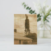 Old Farmstead 2 Briefkaart (Staand voorkant)