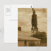 Old Farmstead 2 Briefkaart (Voorkant / Achterkant)