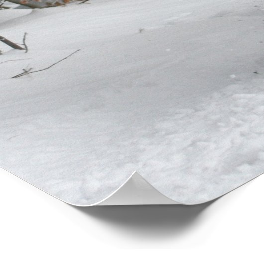 Old Fashioned Sleigh Ride Poster (Hoek)