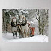 Old Fashioned Sleigh Ride Poster (Voorkant)