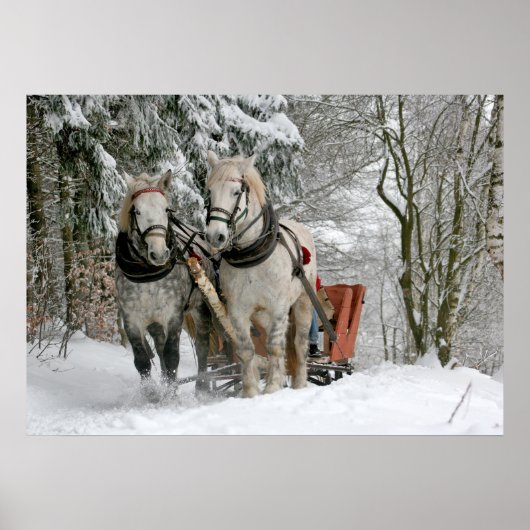 Old Fashioned Sleigh Ride Poster (Voorkant)