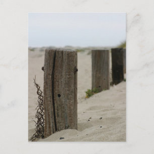 Old Fence Poles Briefkaart