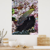 Old Glory Portrait Poster (Keuken)