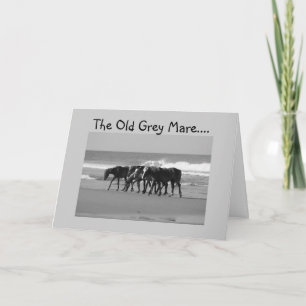 OLD GREY MARE IS GEWOON NIET ZO JONG-GROEP KAART