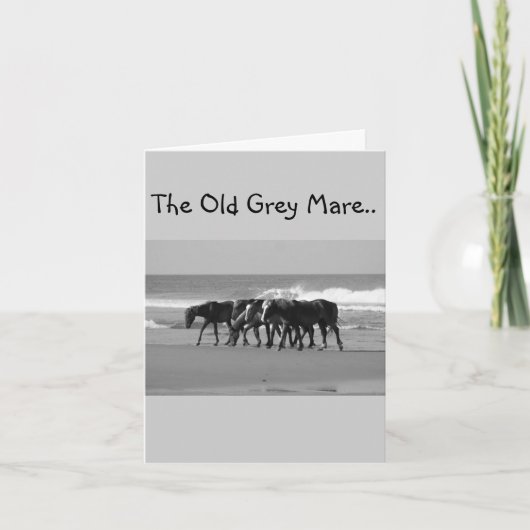 OLD GREY MARE IS GEWOON NIET ZO JONG-GROEP KAART (Voorkant)
