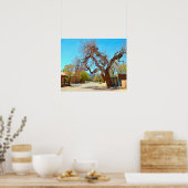 Old Hanging Tree, Cerrillos, New Mexico Poster (Keuken)