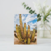 Old Man Cactus portret, Mexico Briefkaart (Staand voorkant)
