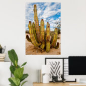 Old Man Cactus portret, Mexico Poster (Thuiskantoor)