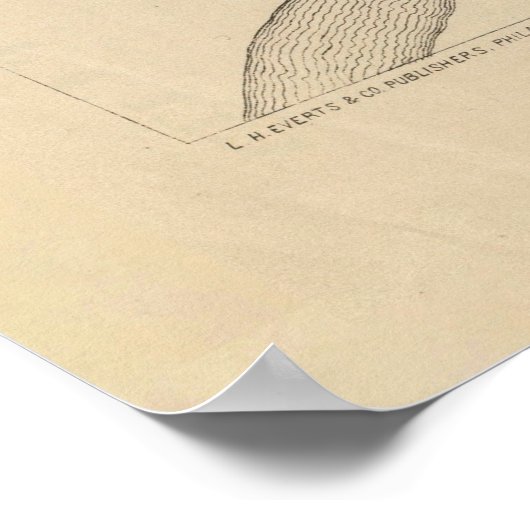 Old Manhattan KS Map (1887) Poster (Hoek)