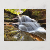 Old Mill Herfsten, Robert H Treman State Park, NY Briefkaart (Voorkant)