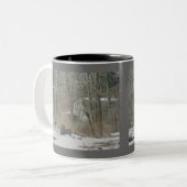 Old Mill Sumneytown PA Mug (Devant gauche)