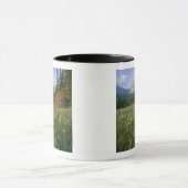 Old Park Service cabine in de Cut Bank Valley Mok (Midden)