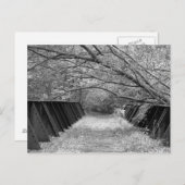 Old Railroad Bridge Briefkaart (Voorkant / Achterkant)