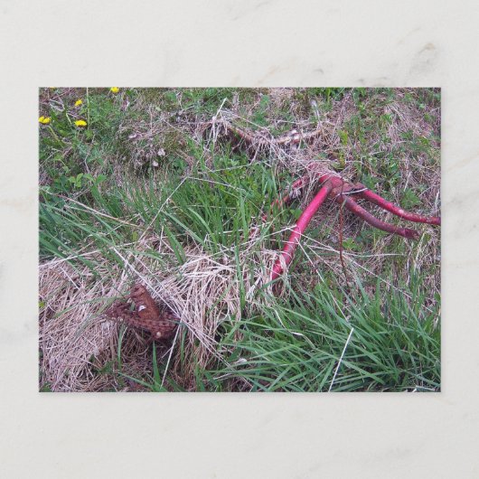 Old Red Bike Briefkaart (Voorkant)