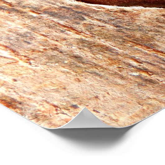 Old Rusty Nail Poster (Hoek)