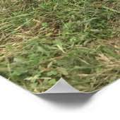 Old Rusty Truck Poster (Hoek)