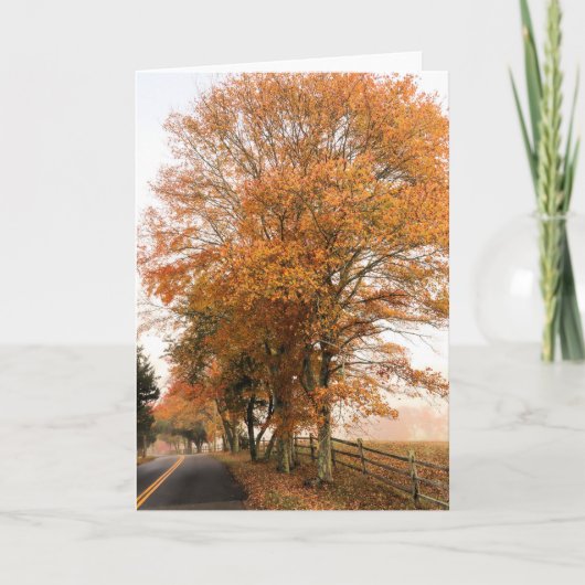 Old Sandwich Road Foliage Kaart (Voorkant)