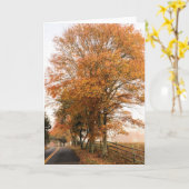 Old Sandwich Road Foliage Kaart (Gele Bloem)