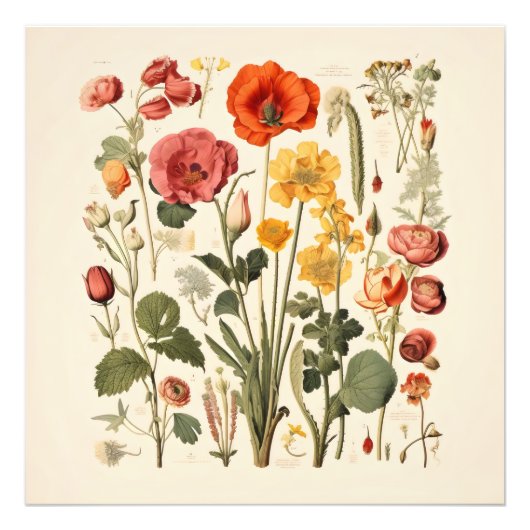 old-school bloemen foto afdruk (Voorkant)