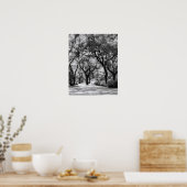 Old Southern Walkway Poster (Keuken)