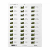 Old St Charles Court House maakt uw eigen label (Full Sheet)