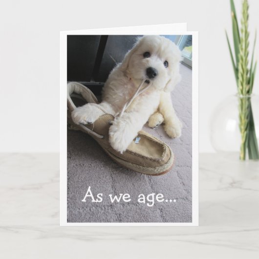 Old Timer Birthday, Cute Goldendoodle pup Humor Kaart (Voorkant)