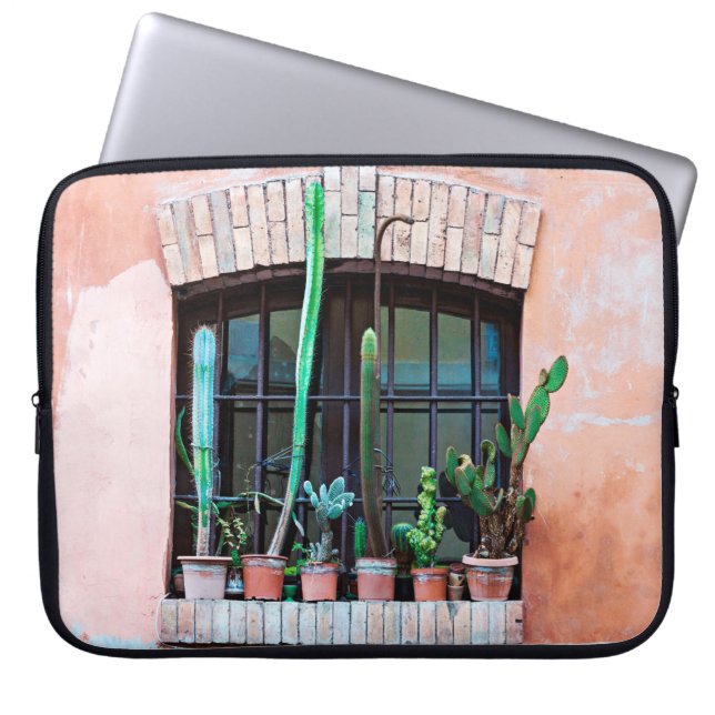 Old vided window with group of cactus flower p laptop sleeve (Voorkant)