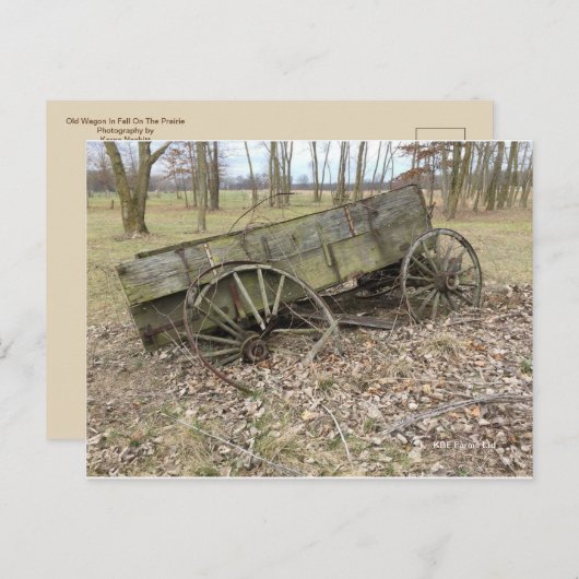 Old Wagon À L'Automne Sur La Prairie - Carte Posta (Devant / Derrière)