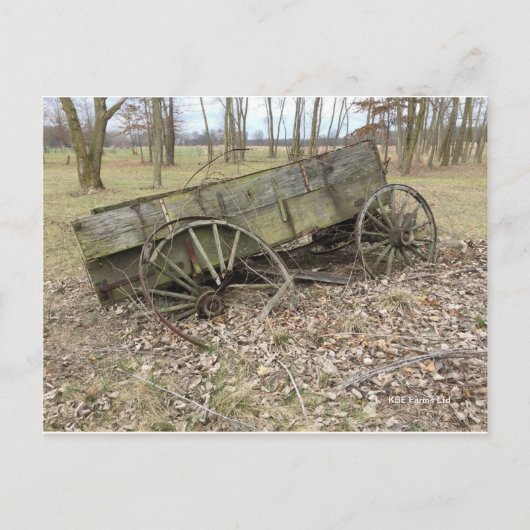 Old Wagon À L'Automne Sur La Prairie - Carte Posta (Devant)