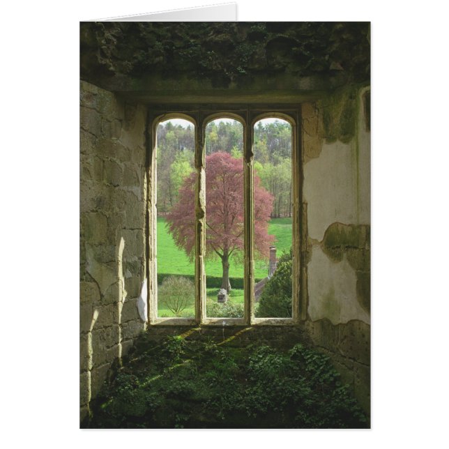 Old Wardour Castle (Voorkant)