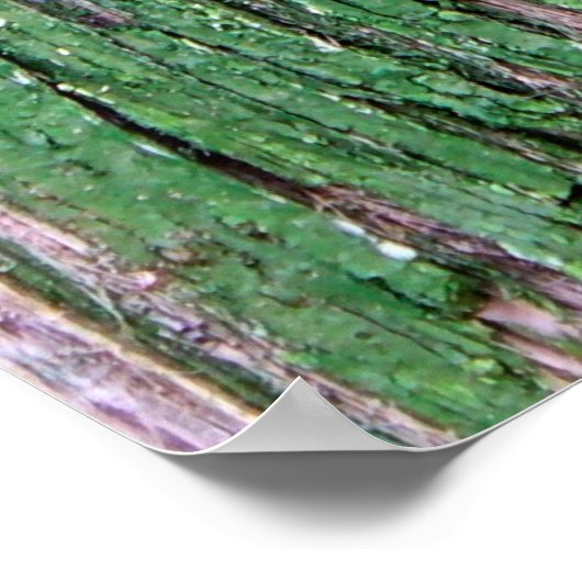 Old Weathered Painted Green Wood Background Textur Poster (Hoek)