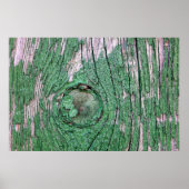 Old Weathered Painted Green Wood Background Textur Poster (Voorkant)