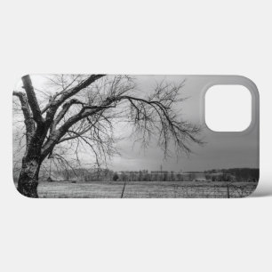 Old Winter Tree Gris coque iphone
