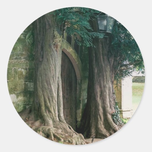 Old Yew Trees Ronde Sticker (Voorkant)