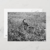 Olden Day Pomp Briefkaart (Voorkant / Achterkant)