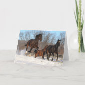 Oldenburg en Hanoverian Mares in Snow Kaart (Voorkant)