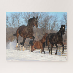 Oldenburg en Hanoverian Mares in Snow Legpuzzel