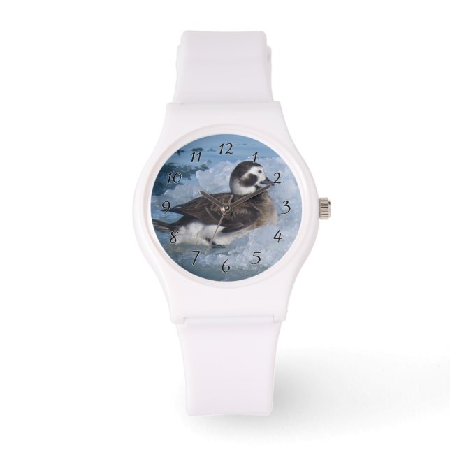 Oldsquaw Long tailed Duck op ijs in de oceaan Horloge (Voorkant)