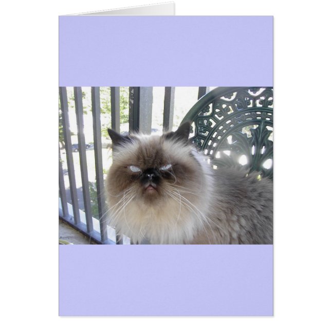 Ole' Blue Eyes (Devant)