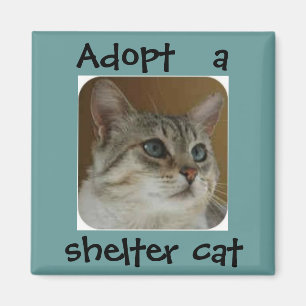 Ole Blue Eyes Magnet Magneet