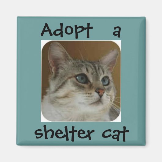 Ole Blue Eyes Magnet Magneet (Voorkant)