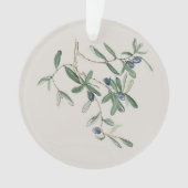 Olea Europana - Olive noir (devant)